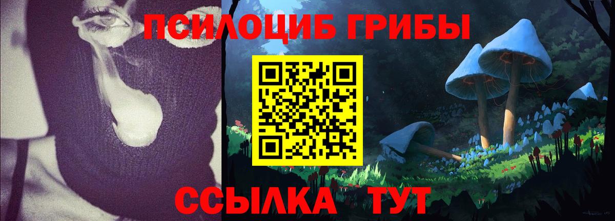 Псилоцибиновые грибы ЛСД Тюмень
